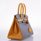 Hermès Birkin 30 HSS Gris Agate et Saphir Autruche Ornements Dorés - 2020, Y