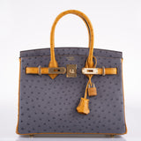 Hermès Birkin 30 HSS Gris Agate et Saphir Autruche Ornements Dorés - 2020, Y