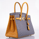 Hermès Birkin 30 HSS Gris Agate et Saphir Autruche Ornements Dorés - 2020, Y