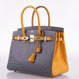 Hermès Birkin 30 HSS Gris Agate et Saphir Autruche Ornements Dorés - 2020, Y