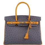 Hermès Birkin 30 HSS Gris Agate et Saphir Autruche Ornements Dorés - 2020, Y
