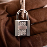 Hermès Birkin 30 Crocodile Niloticus Mat Himalaya avec Diamants et Accastillage en Or Blanc