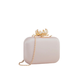 Party Wear Clutch -Pink