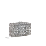 Party Wear Clutch -Silver